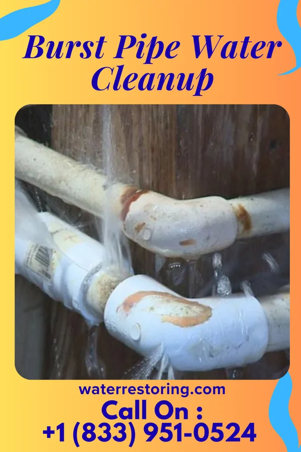 Burst Pipe Water Cleanup in Duryea, PA