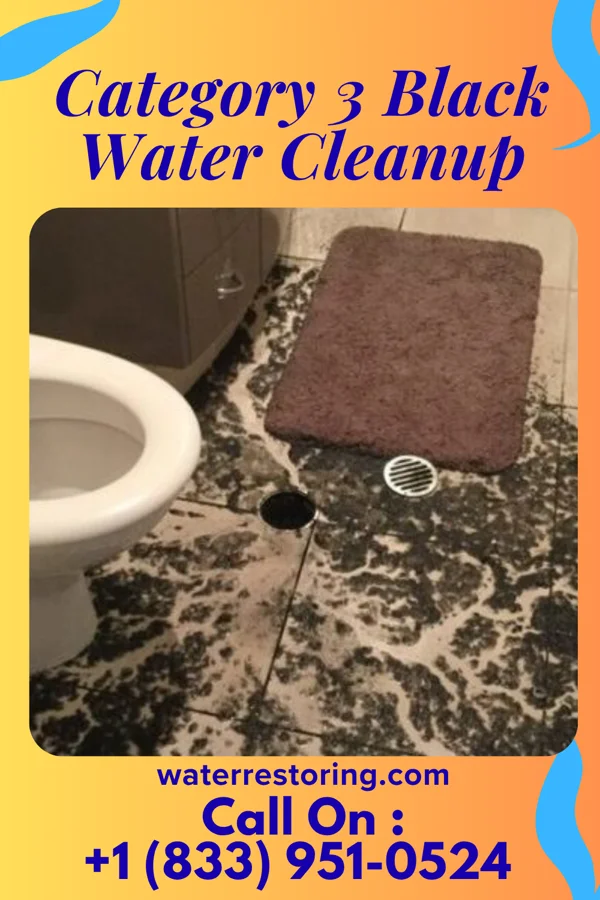 Category 3 Black Water Cleanup in Duryea, PA