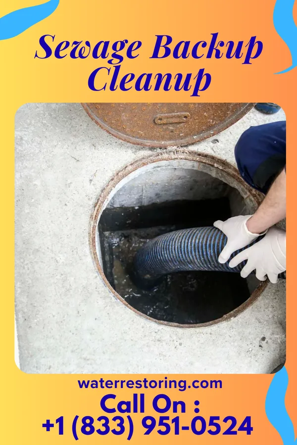 Sewage Backup Cleanup in Duryea, PA