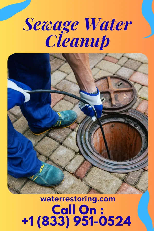 Sewage Water Cleanup in Duryea, PA