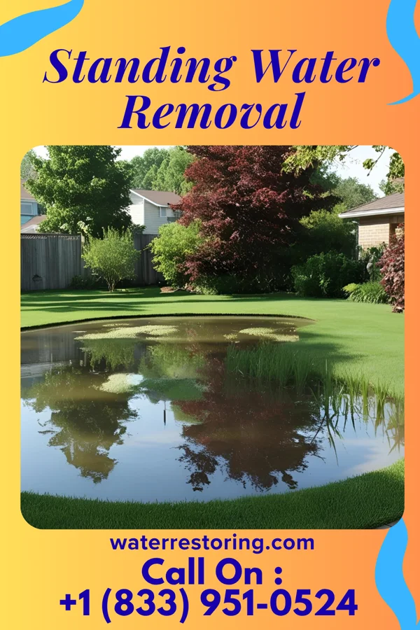 Standing Water Removal in Duryea, PA